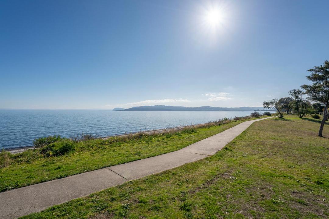 Photo of Others in Waitahanui