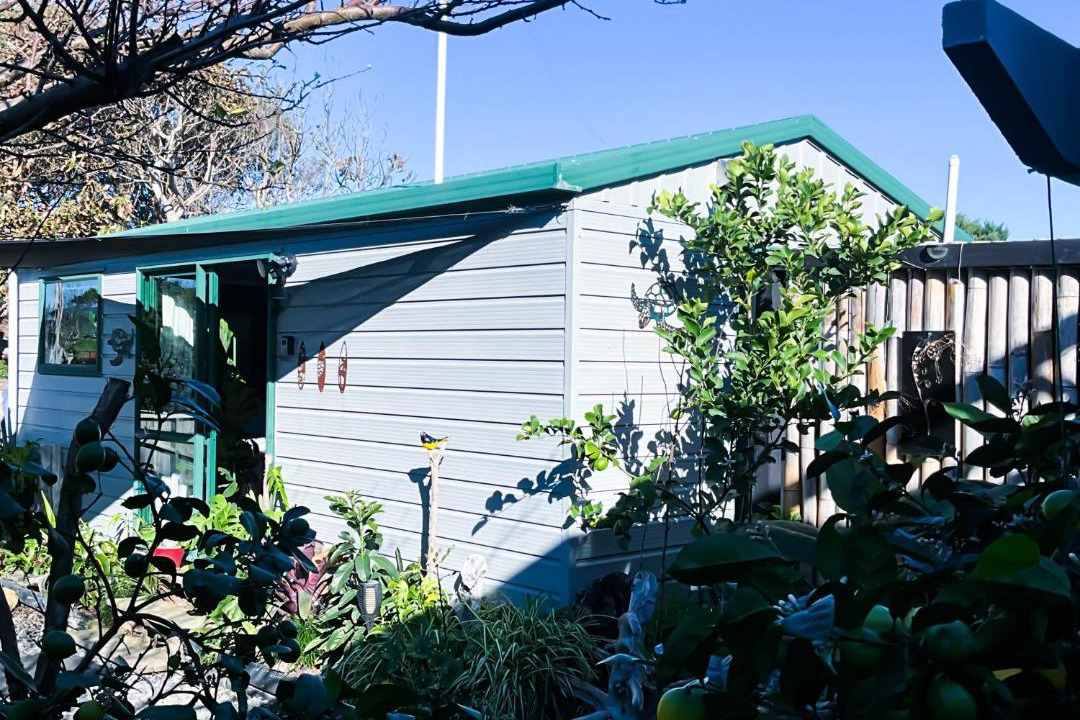Photo of Others in Tirohanga