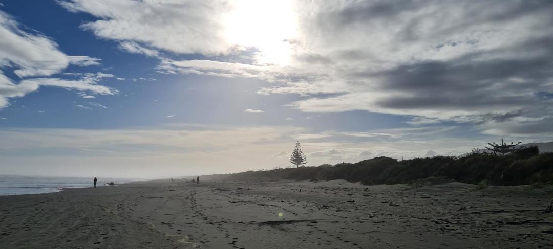 Photo of Others in Waikanae