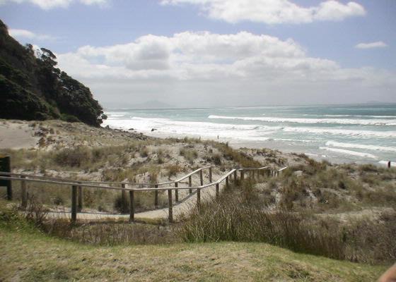 Photo of Others in Mangawhai Heads