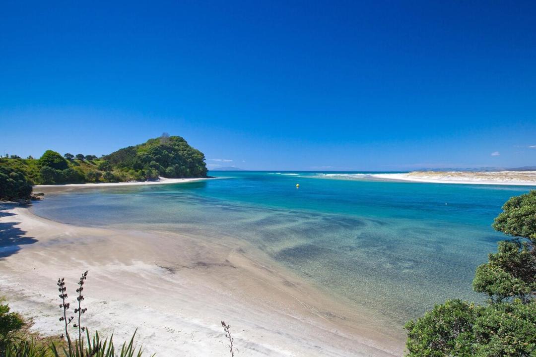 Photo of Others in Mangawhai Heads