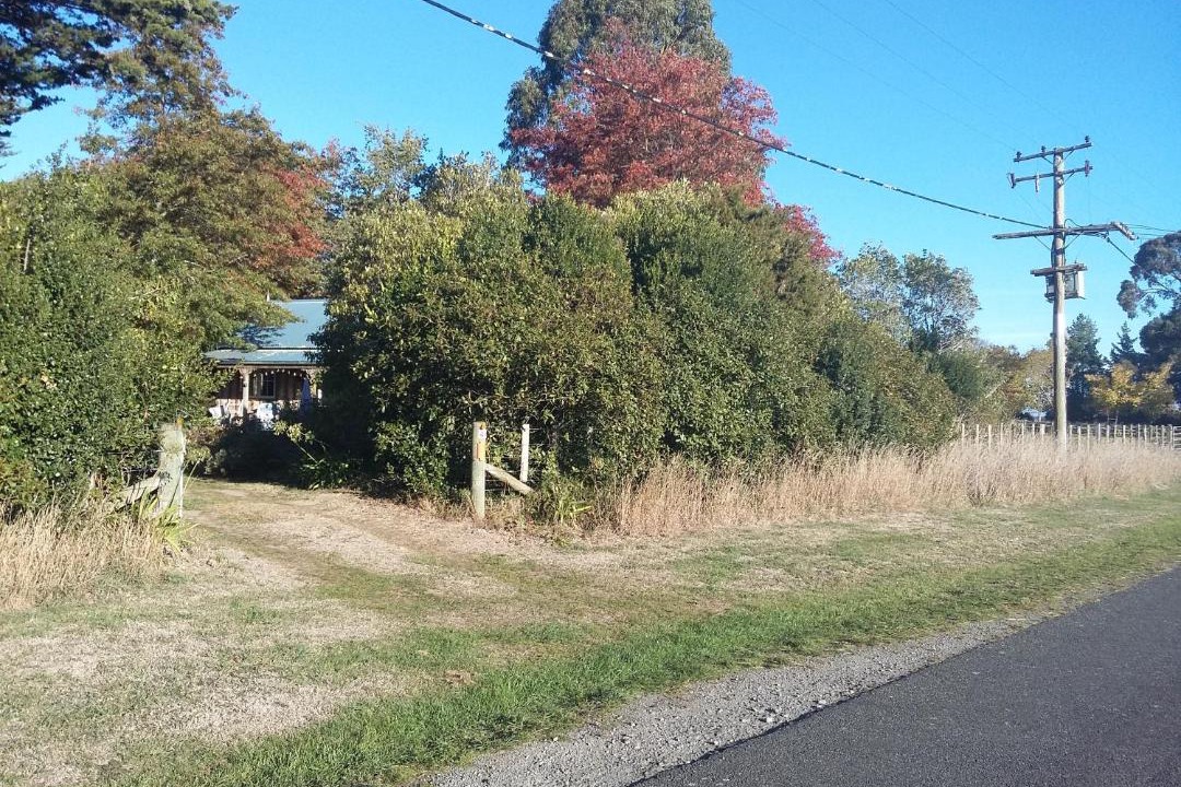 Photo of Others in Greytown