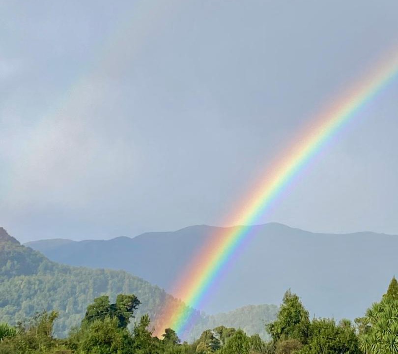 Photo of Others in Haast