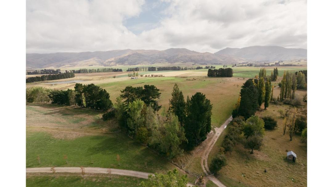 Photo of Others in Matakanui