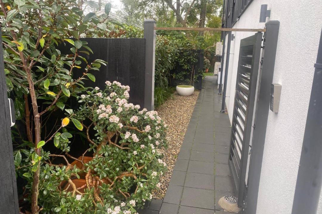 Photo of Others in Grey Lynn