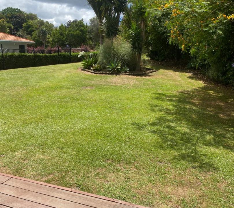 Photo of Others in Whangarei