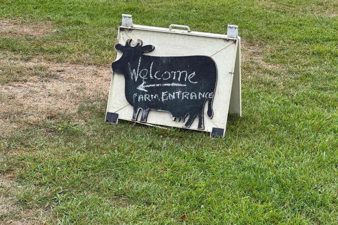 Photo of Others in West Melton
