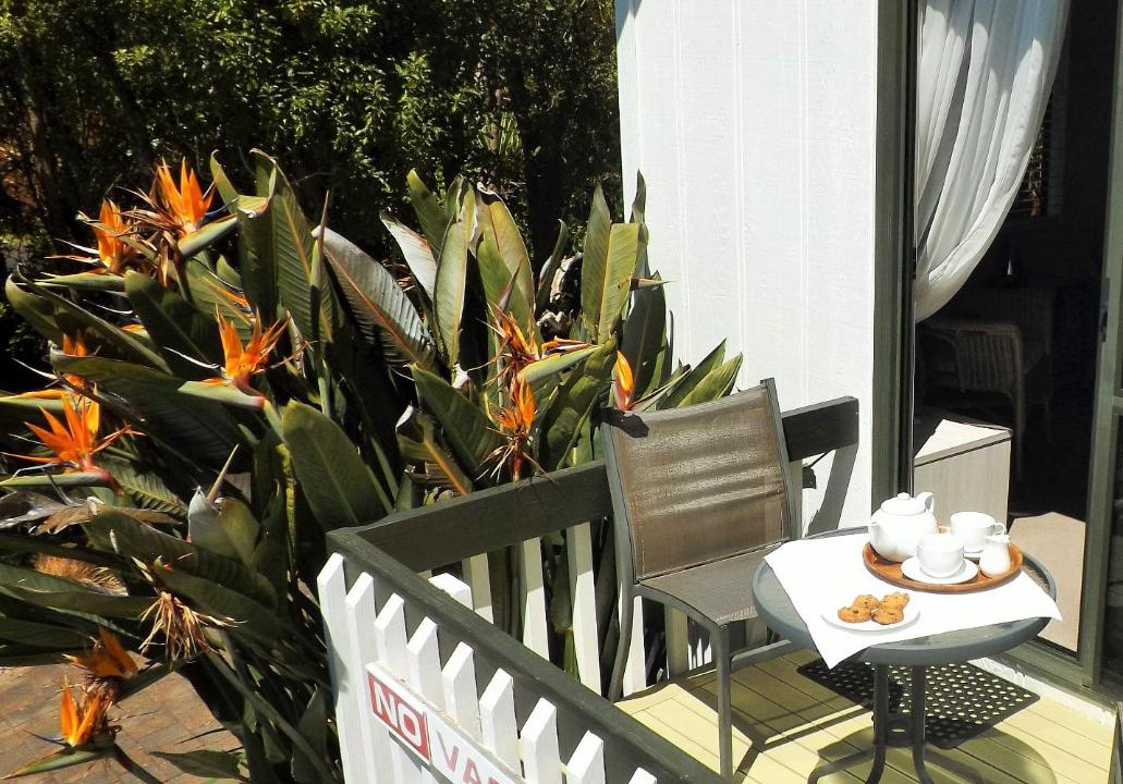 Photo of Others in Tairua