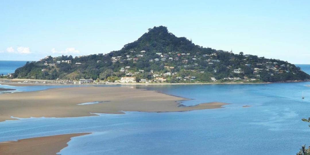 Photo of Others in Tairua