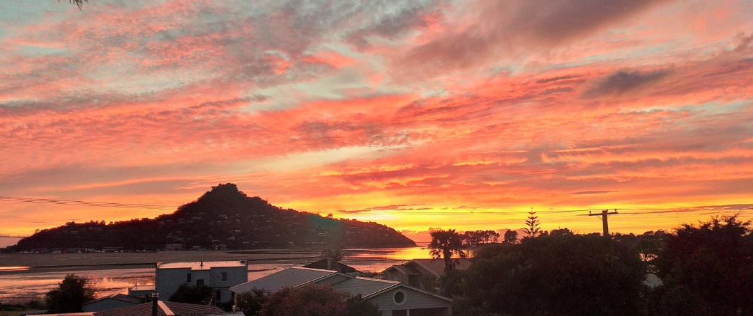 Photo of Others in Tairua