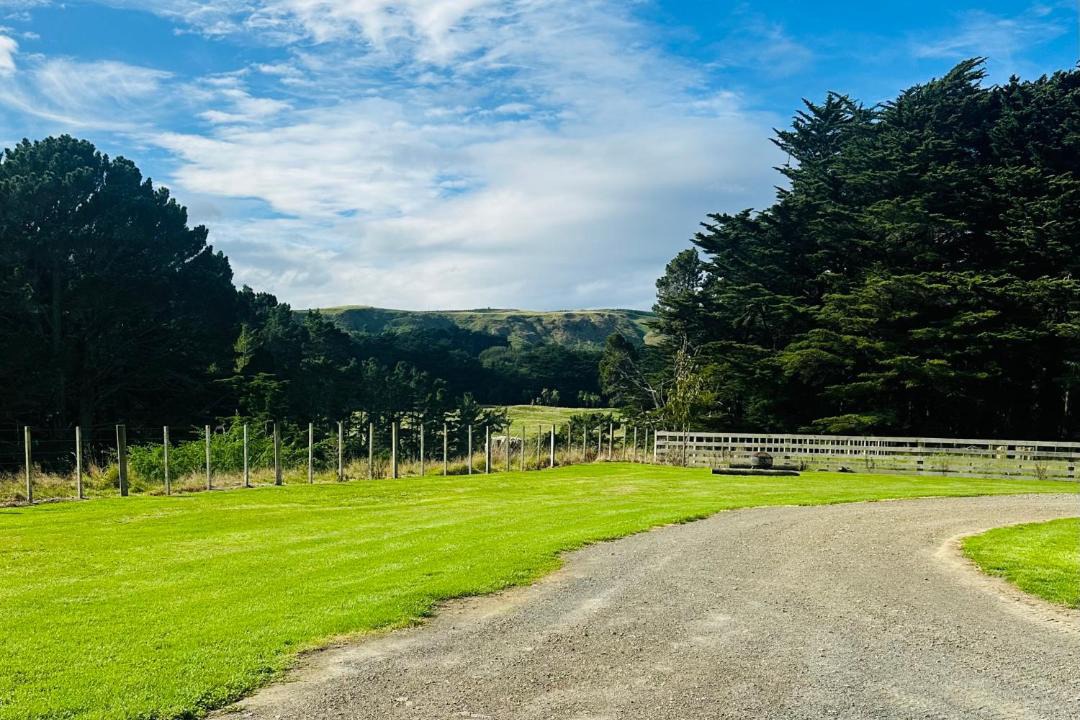 Photo of Others in Masterton District