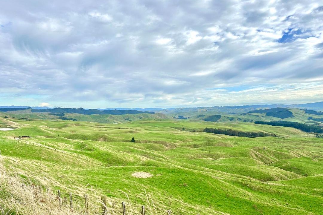 Photo of Others in Masterton District