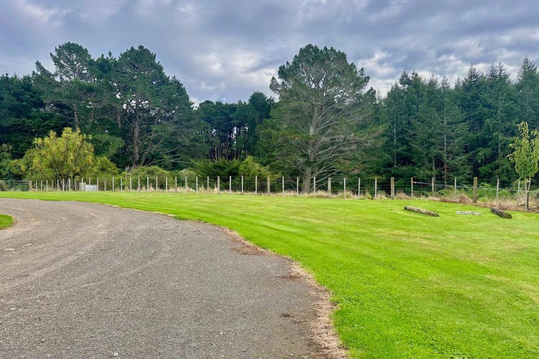 Photo of Others in Masterton District