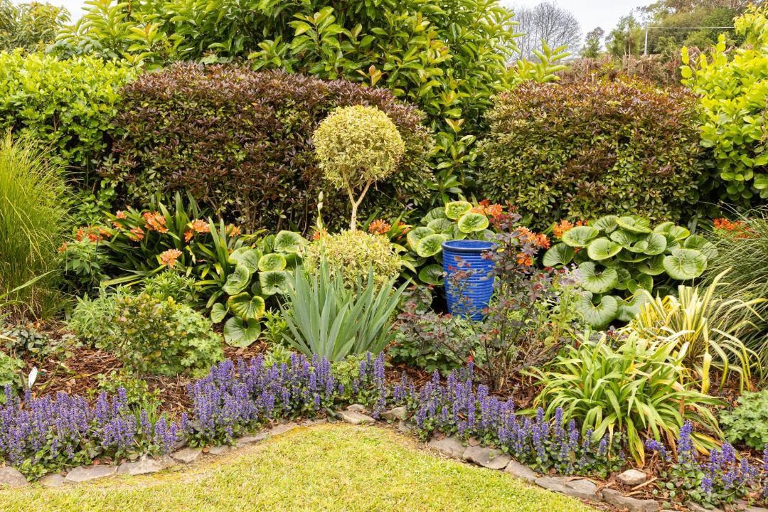 Photo of Outdoor in Whakamarama
