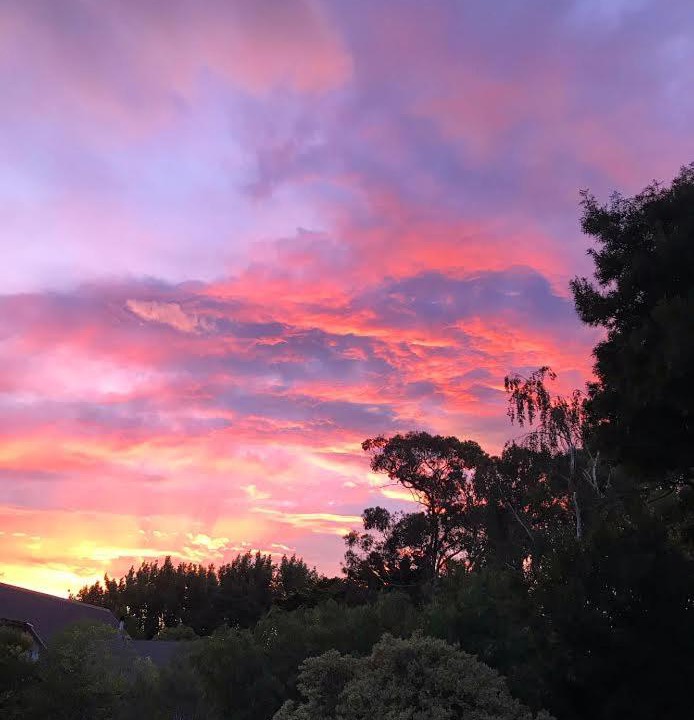 Photo of Others in Havelock North