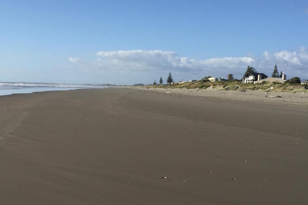 Photo of Others in Waikanae