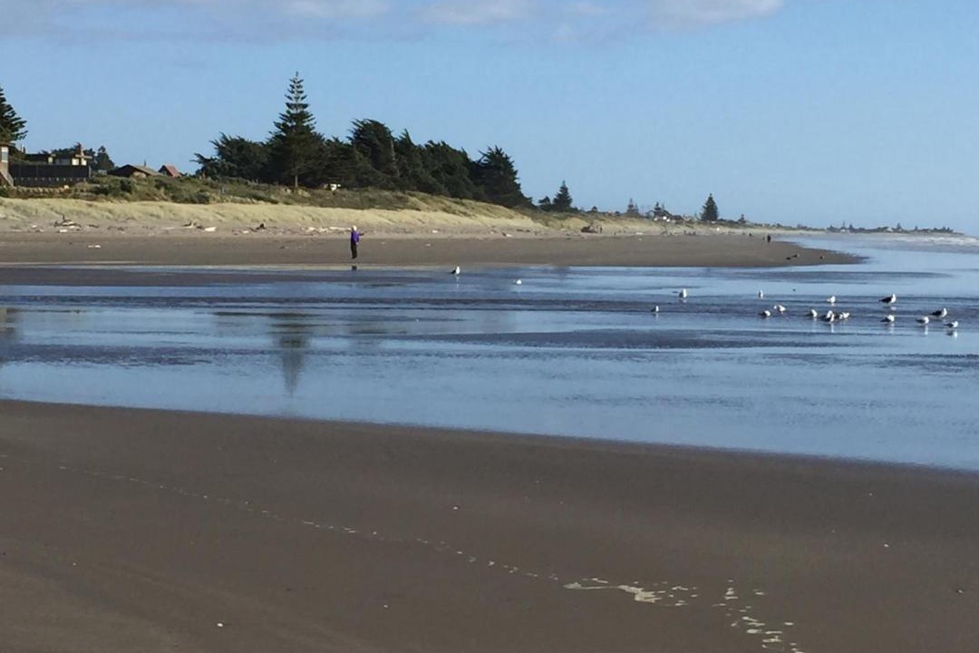 Photo of Others in Waikanae