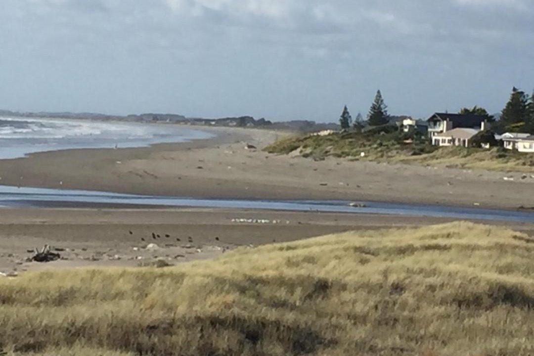 Photo of Others in Waikanae