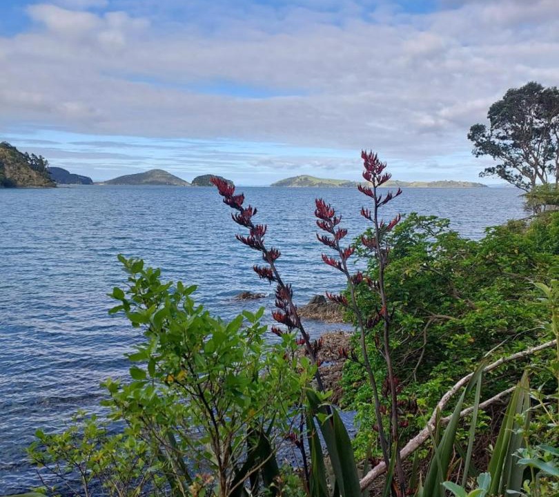 Photo of Others in Coromandel