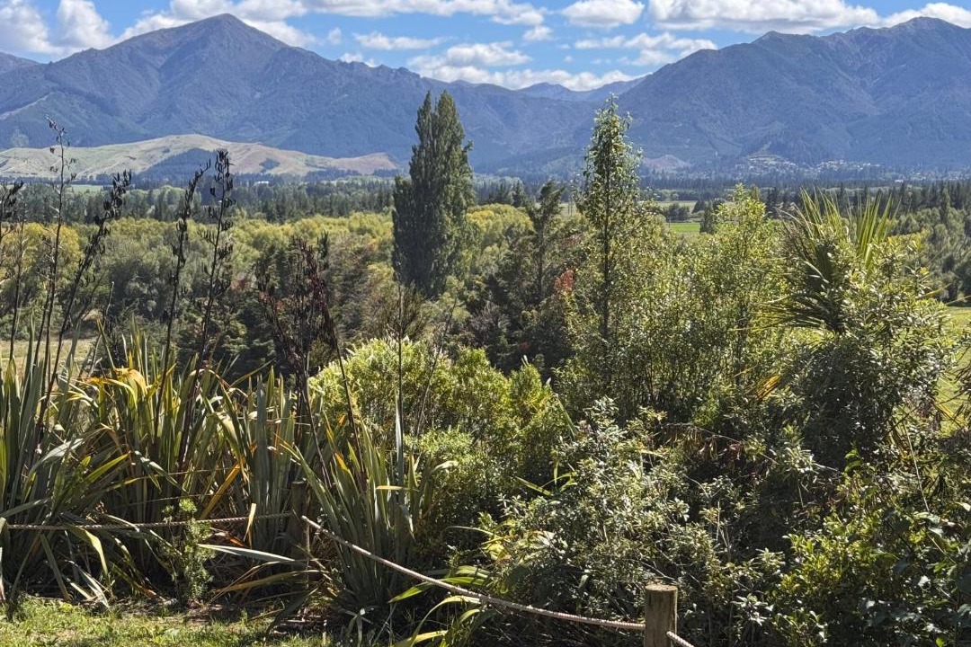 Photo of Others in Hanmer Springs