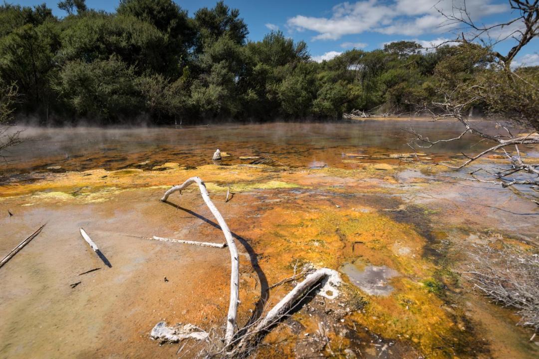 Photo of Others in Rotorua