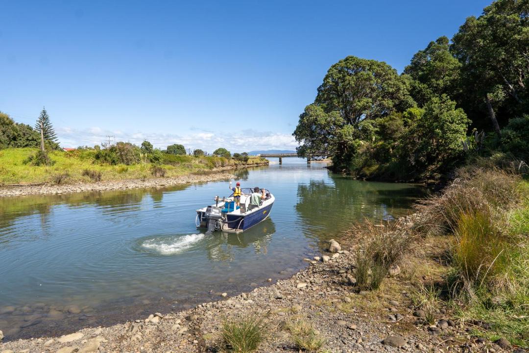 Photo of Others in Te Mata