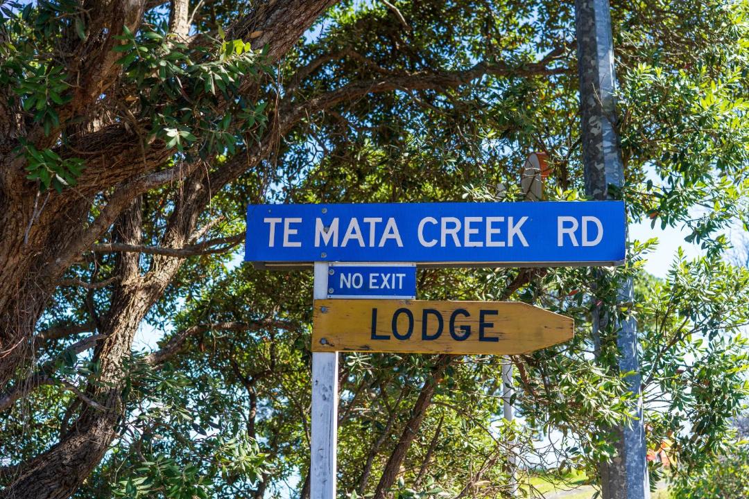 Photo of Others in Te Mata