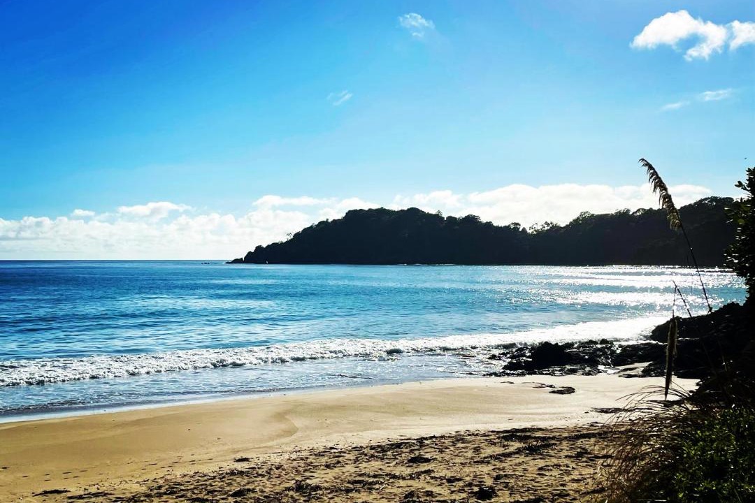 Photo of Others in Tutukaka