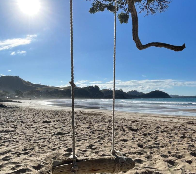Photo of Others in Tutukaka