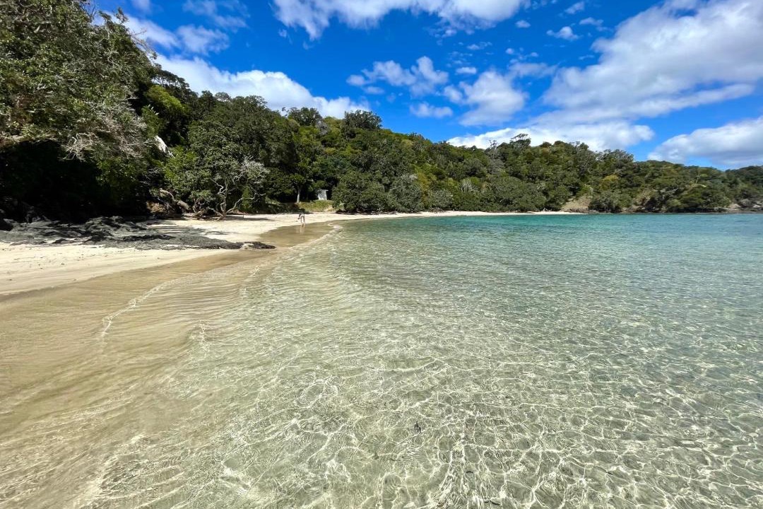 Photo of Others in Tutukaka
