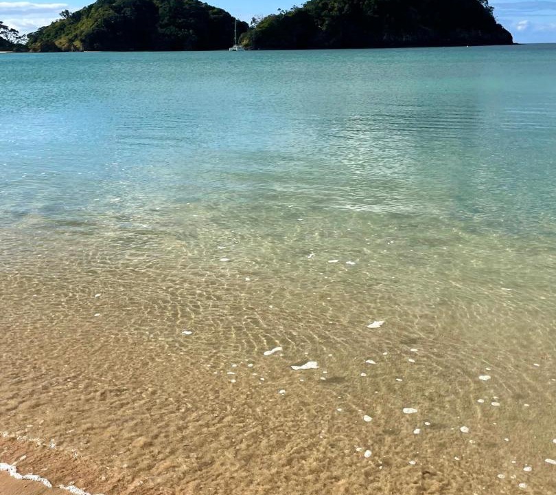Photo of Others in Tutukaka