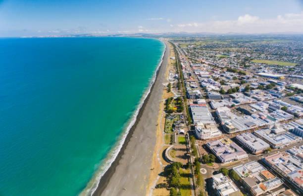 Photo of Others in Napier