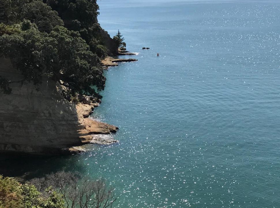 Photo of Others in Bucklands Beach