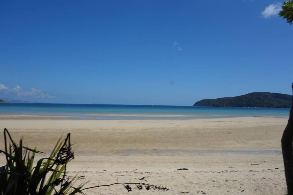 Photo of Others in Great Barrier Island