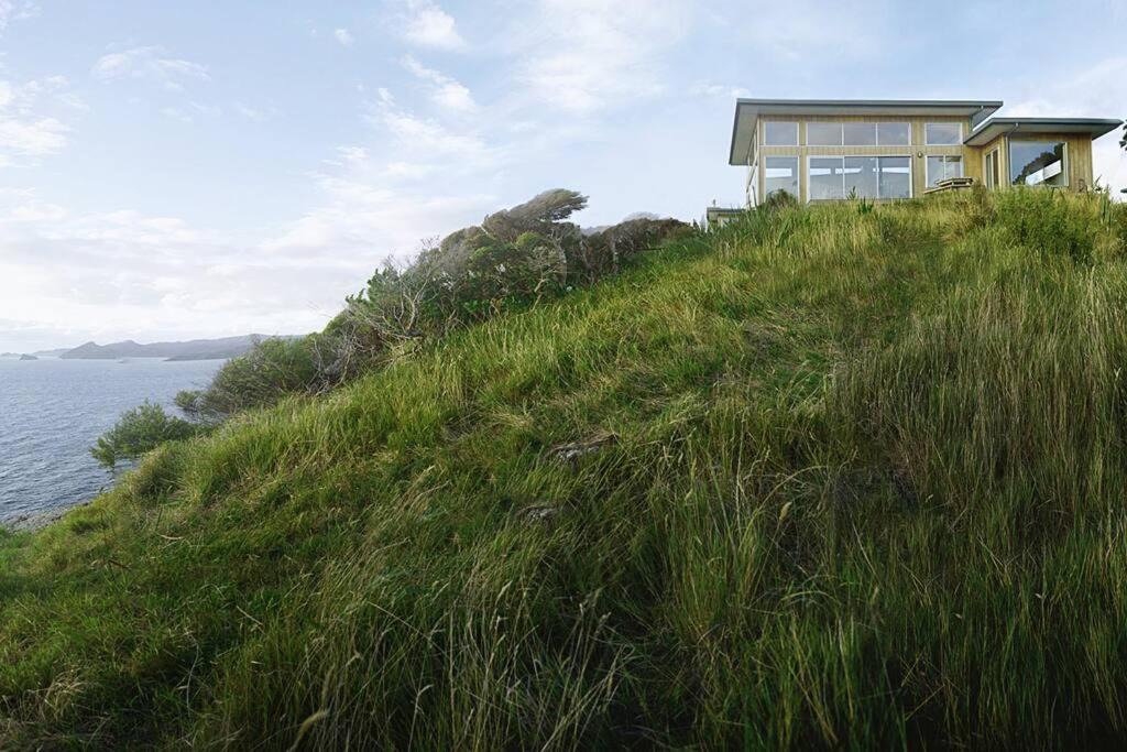 Photo of Others in Great Barrier Island
