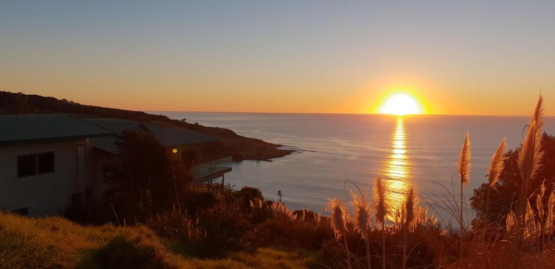 Photo of Others in Raglan