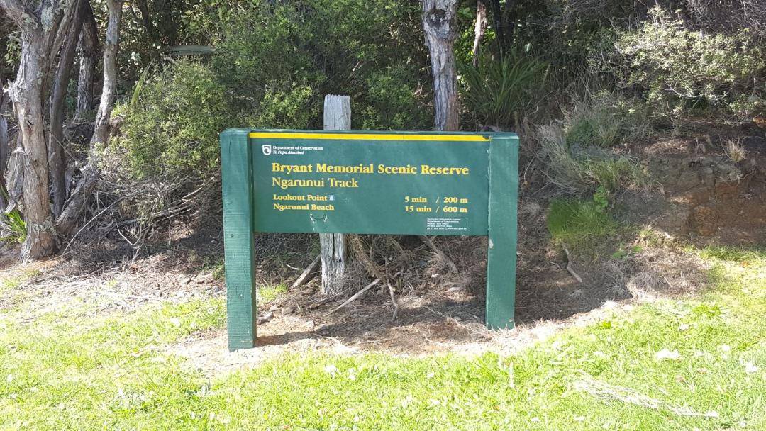 Photo of Others in Raglan
