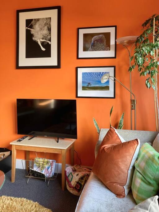 Photo of Livingroom in Castlecliff