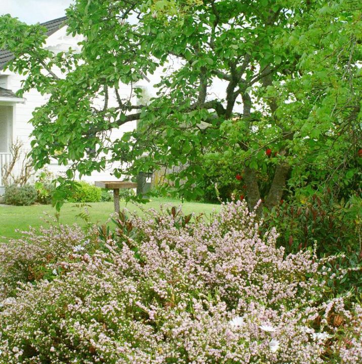 Photo of Others in Havelock North