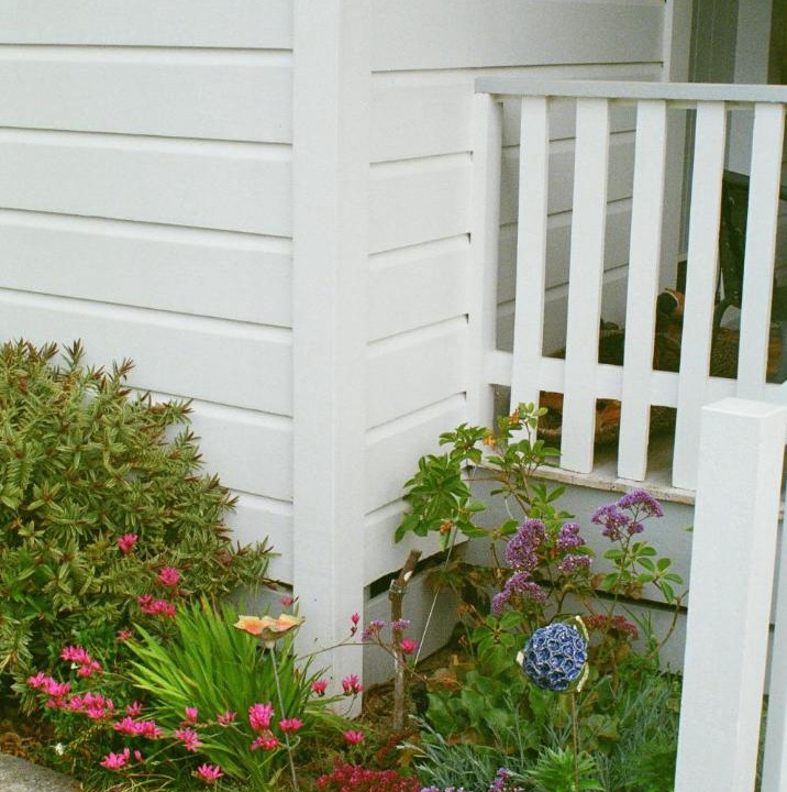 Photo of Others in Havelock North