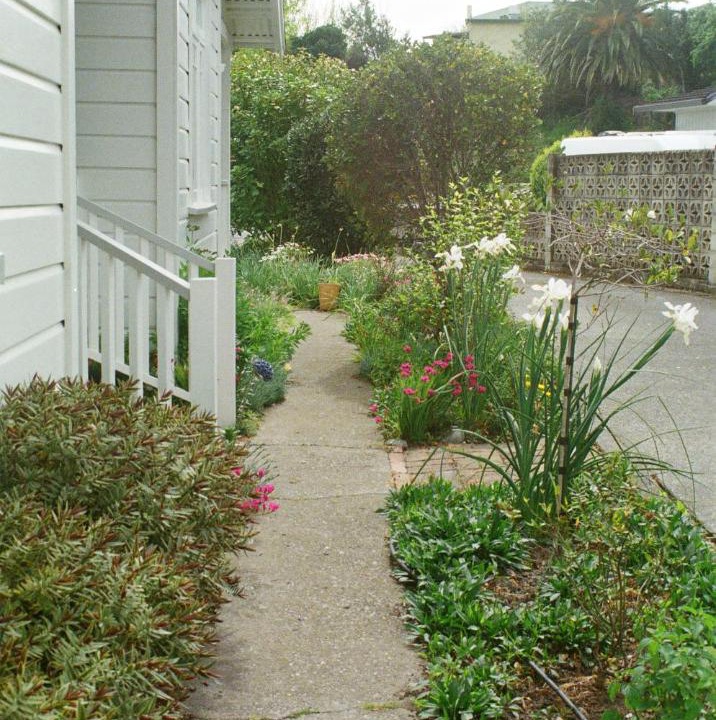 Photo of Others in Havelock North