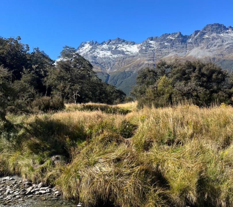 Photo of Others in Glenorchy