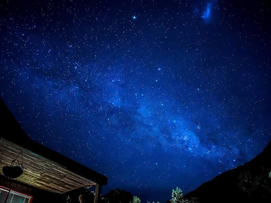 Photo of Others in Otira