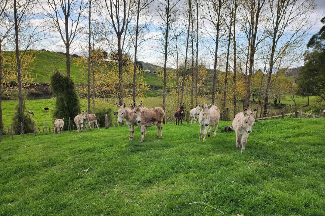 Photo of Others in Stratford District