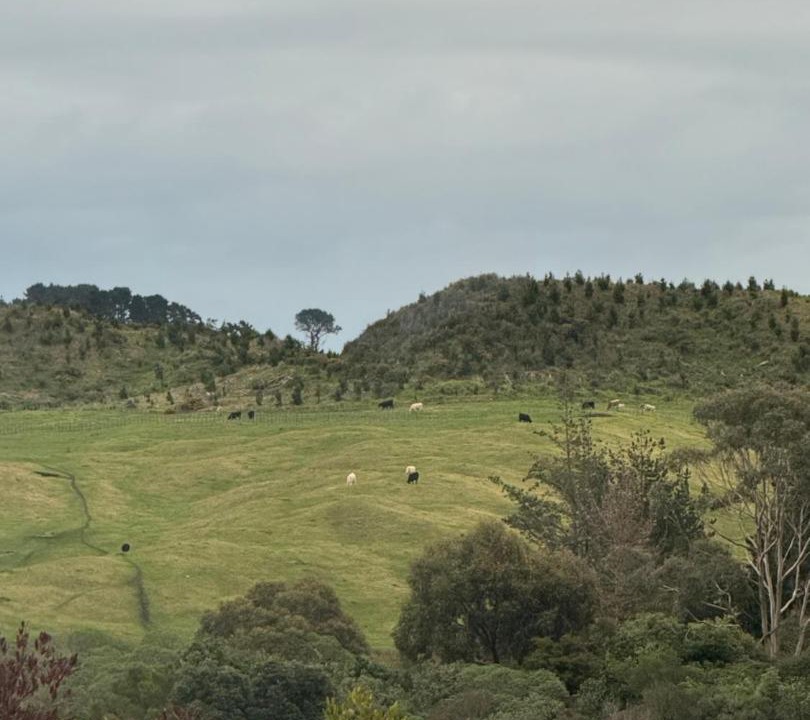 Photo of Others in Westmere