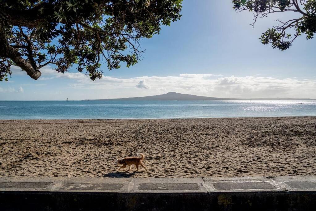 Photo of Others in Mission Bay
