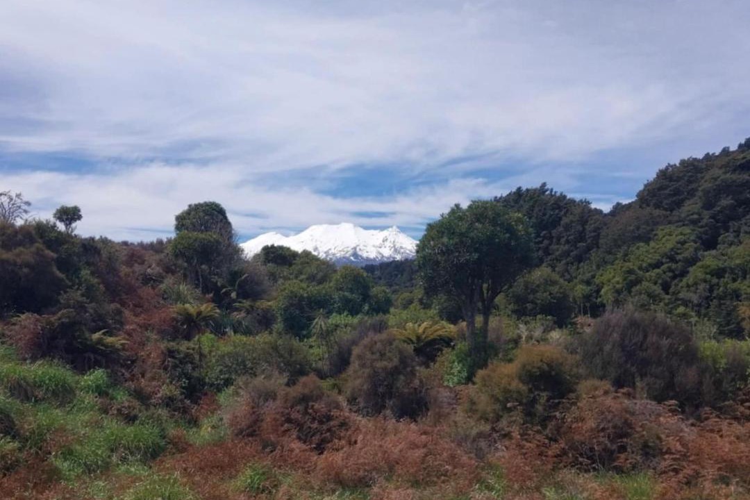 Photo of Others in Ohakune