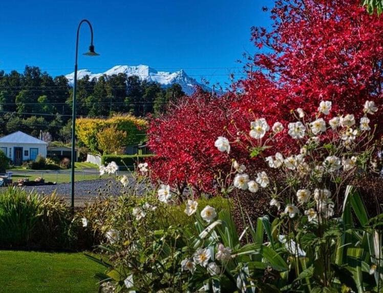 Photo of Others in Ohakune