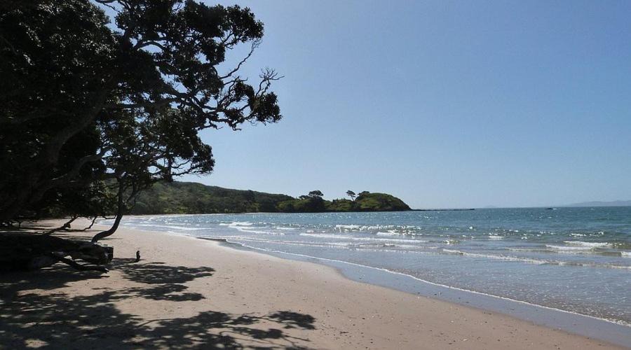 Photo of Others in Coopers Beach