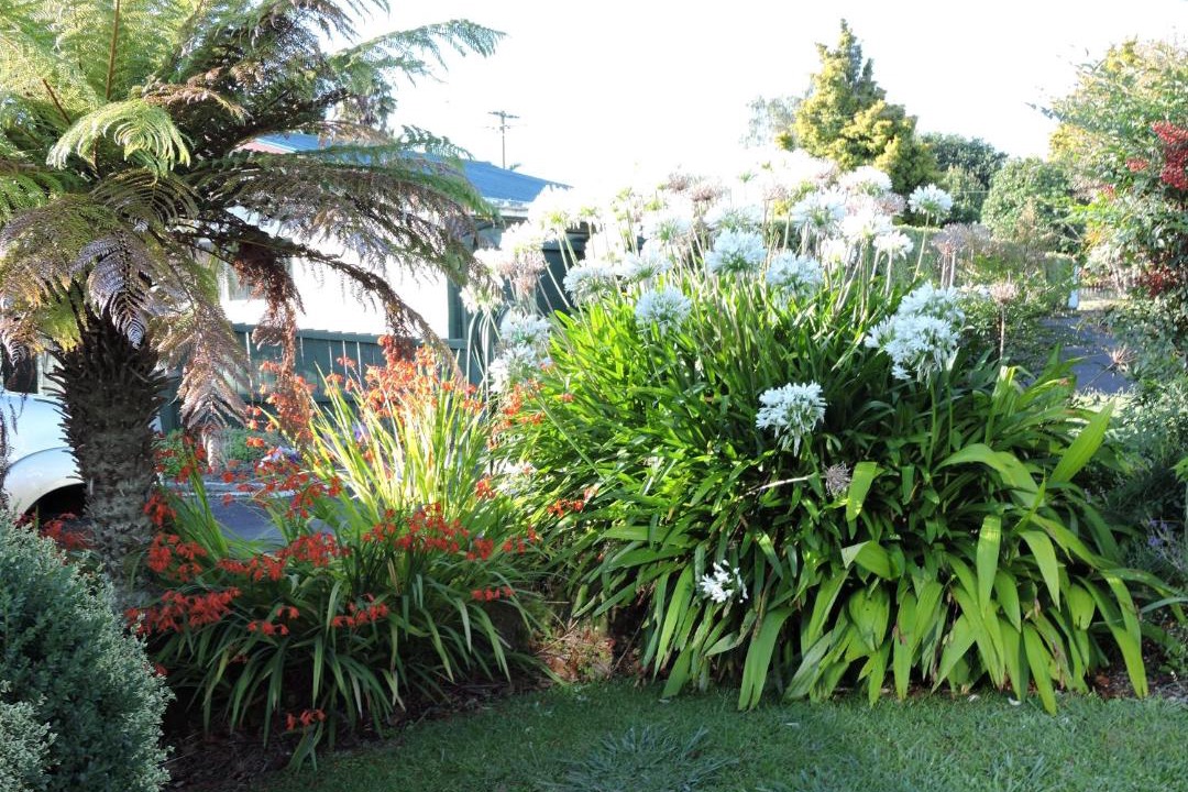 Photo of Others in Matamata